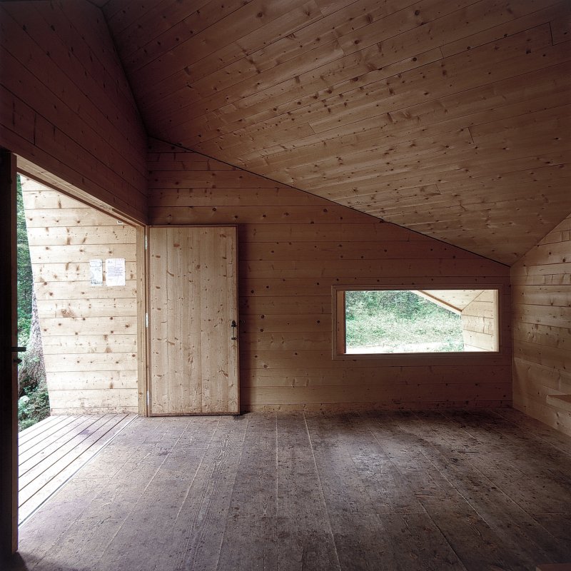 Forest Refuge